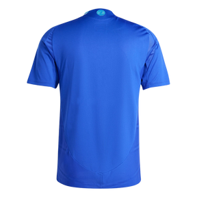 Camisa Seleção Argentina 2024 Away