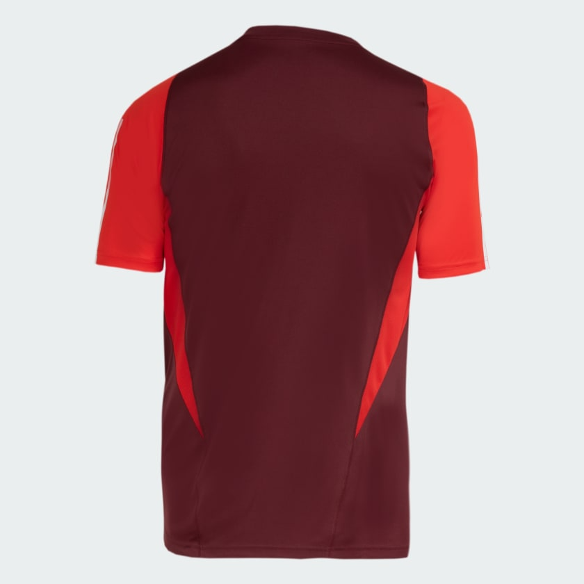 Camisa SC Internacional 2024/25 Comissão Técnica